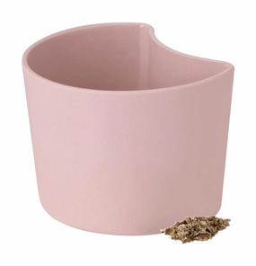 Rig Tig Your Tree Flower Pots With Seeds, Pink dried green plant  