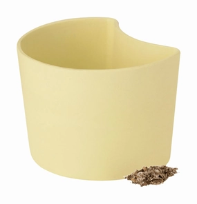Rig Tig Your Tree Flower Pots With Seeds, Yellow dried green plant  