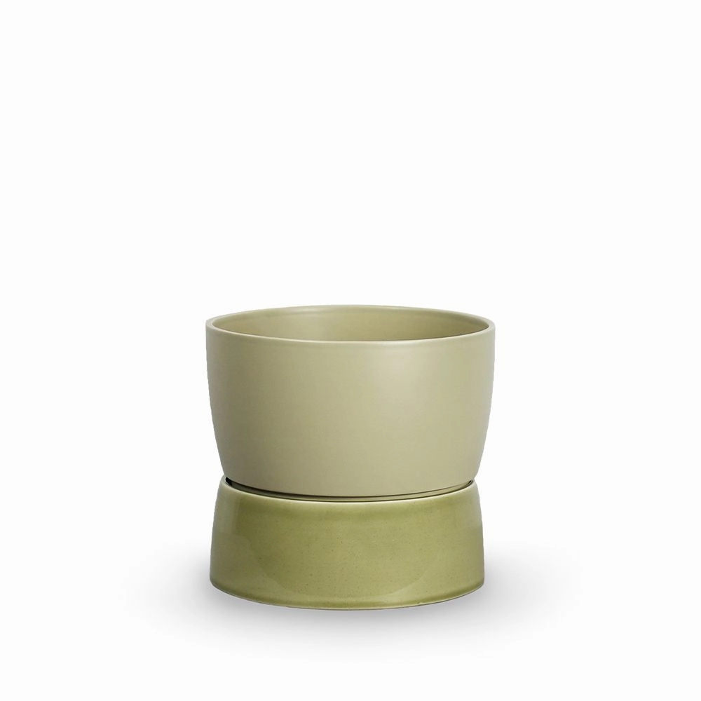 Ro Collection Two Tone Planter, Large, Artichoke Green dried green plant  