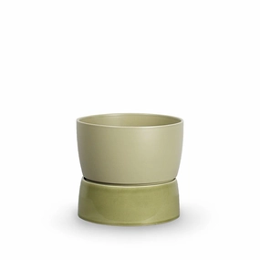 Ro Collection Two Tone Planter, Large, Artichoke Green dried green plant  