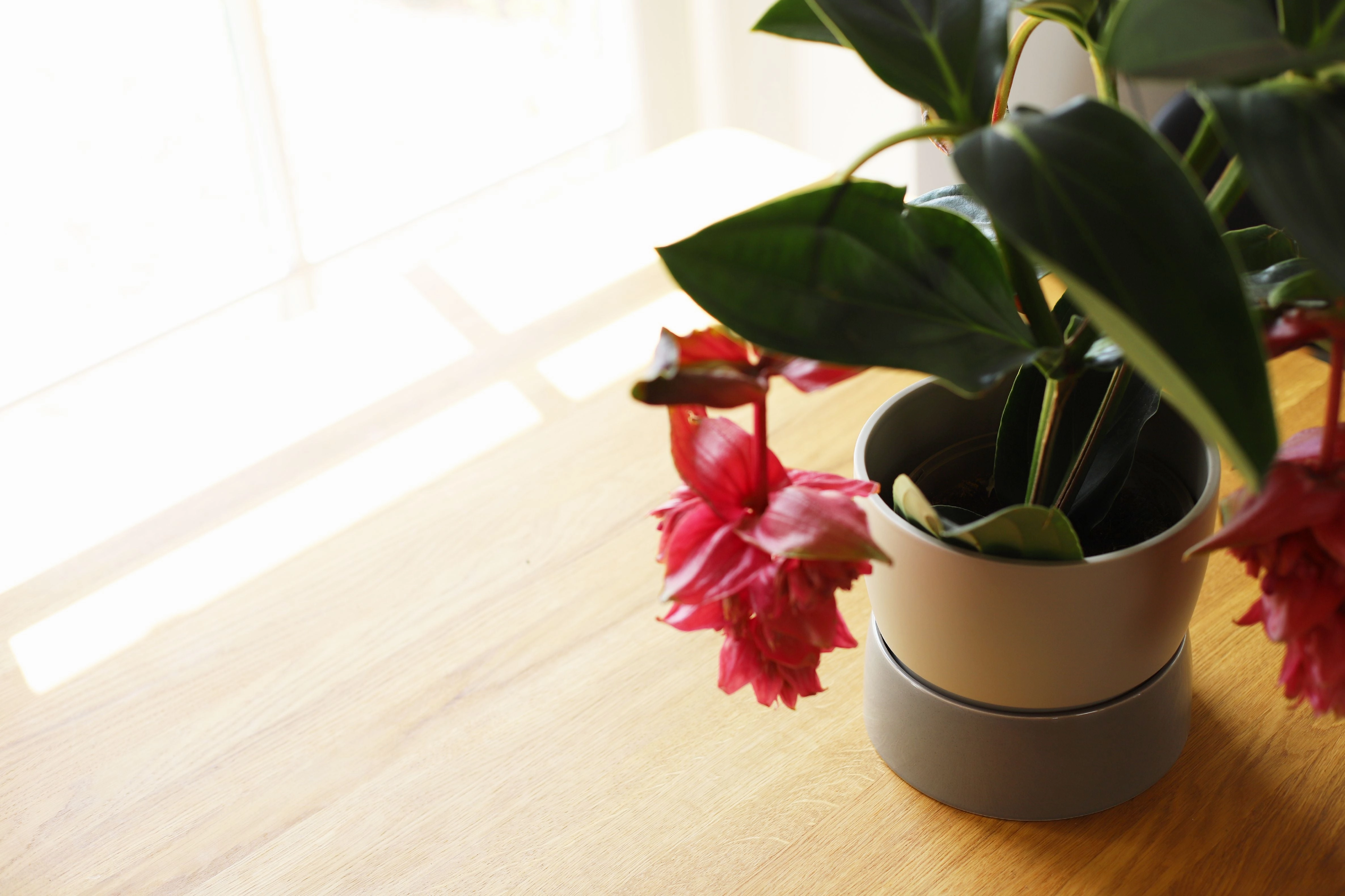Ro Collection Two Tone Planter, Large, Dune Grey