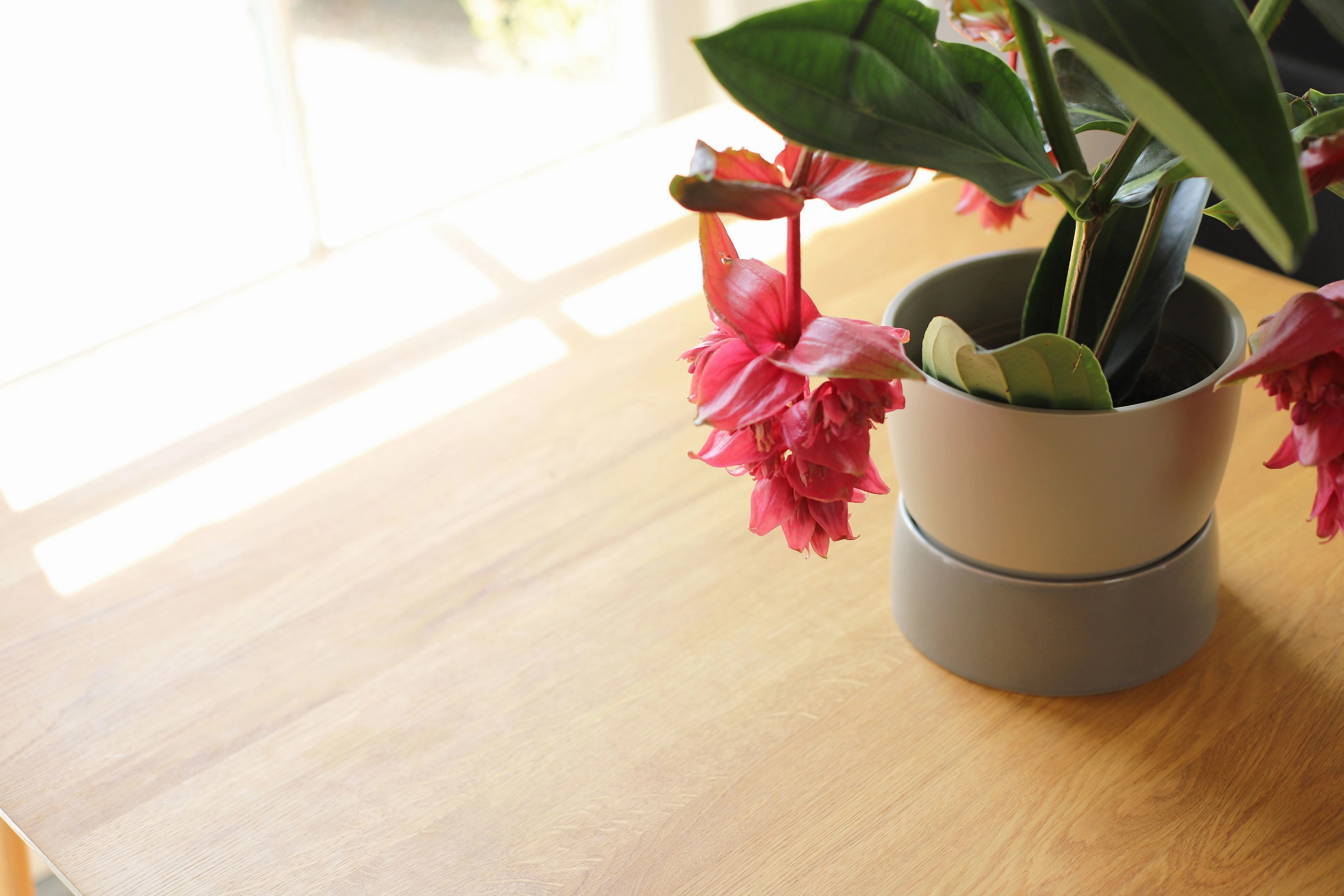 Ro Collection Two Tone Planter, Large, Dune Grey