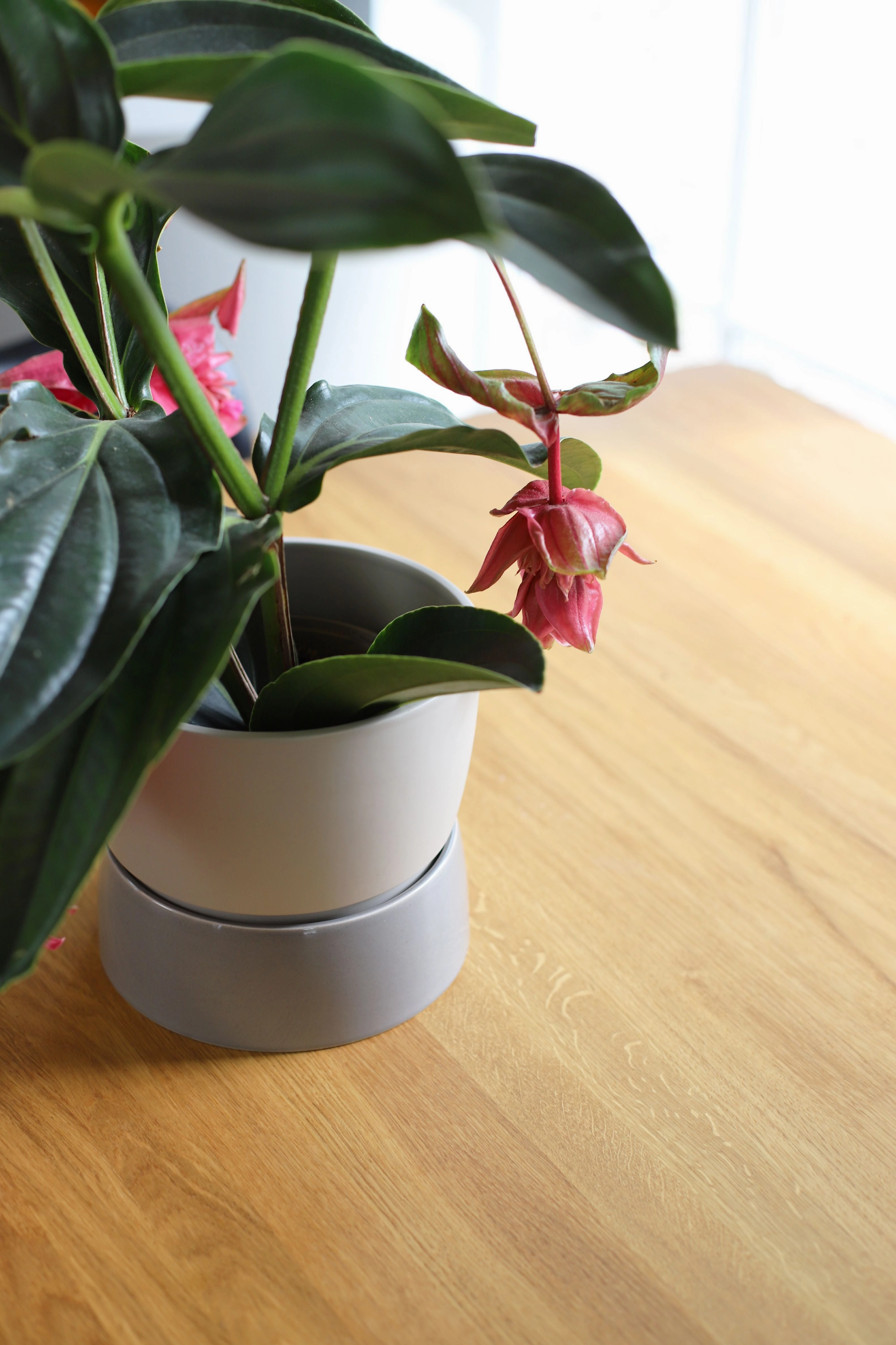 Ro Collection Two Tone Planter, Large, Dune Grey