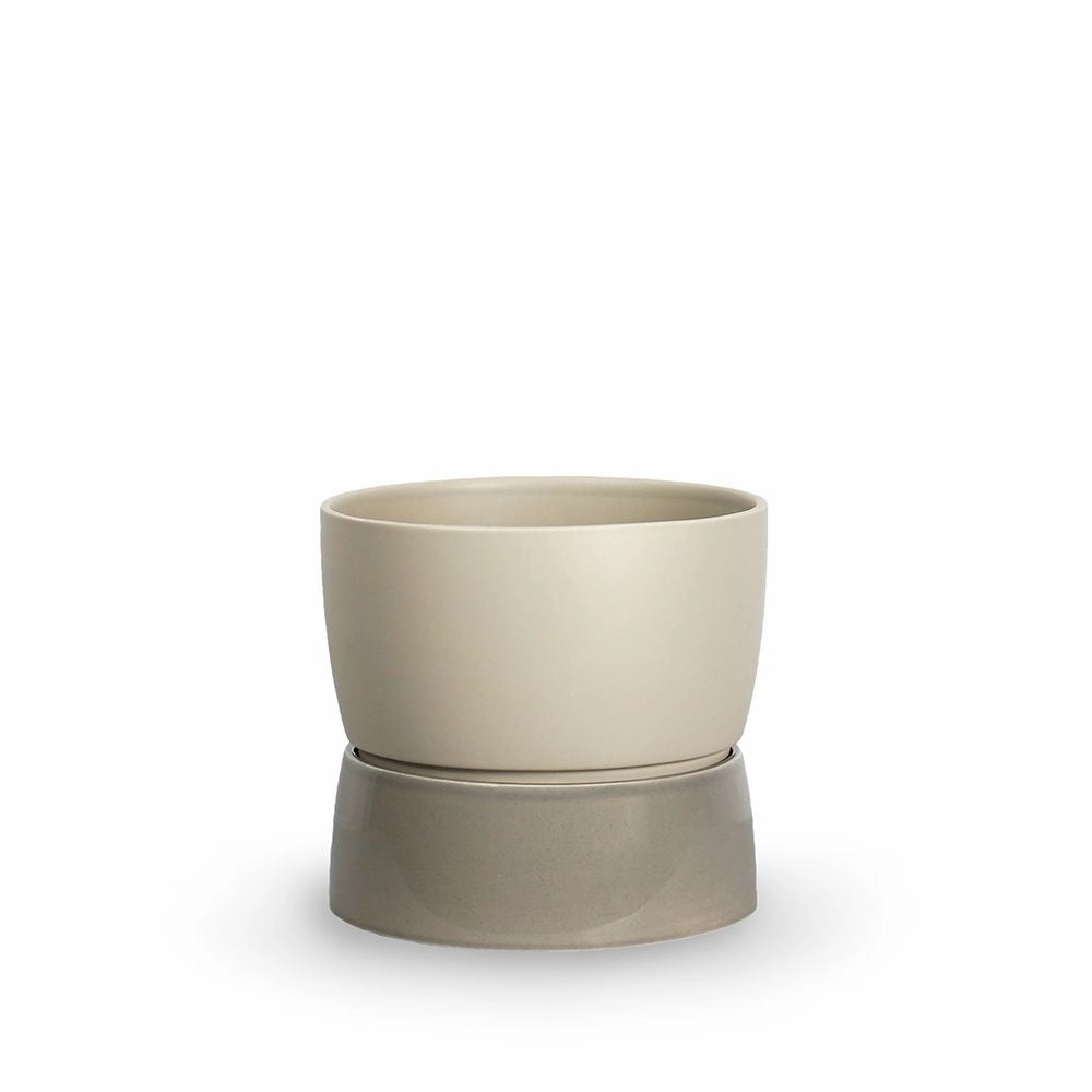 Ro Collection Two Tone Planter, Large, Dune Grey dried green plant  