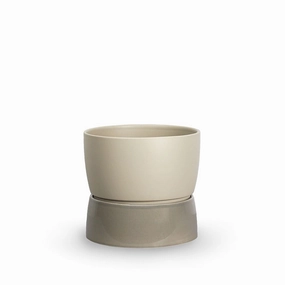 Ro Collection Two Tone Planter, Large, Dune Grey dried green plant  
