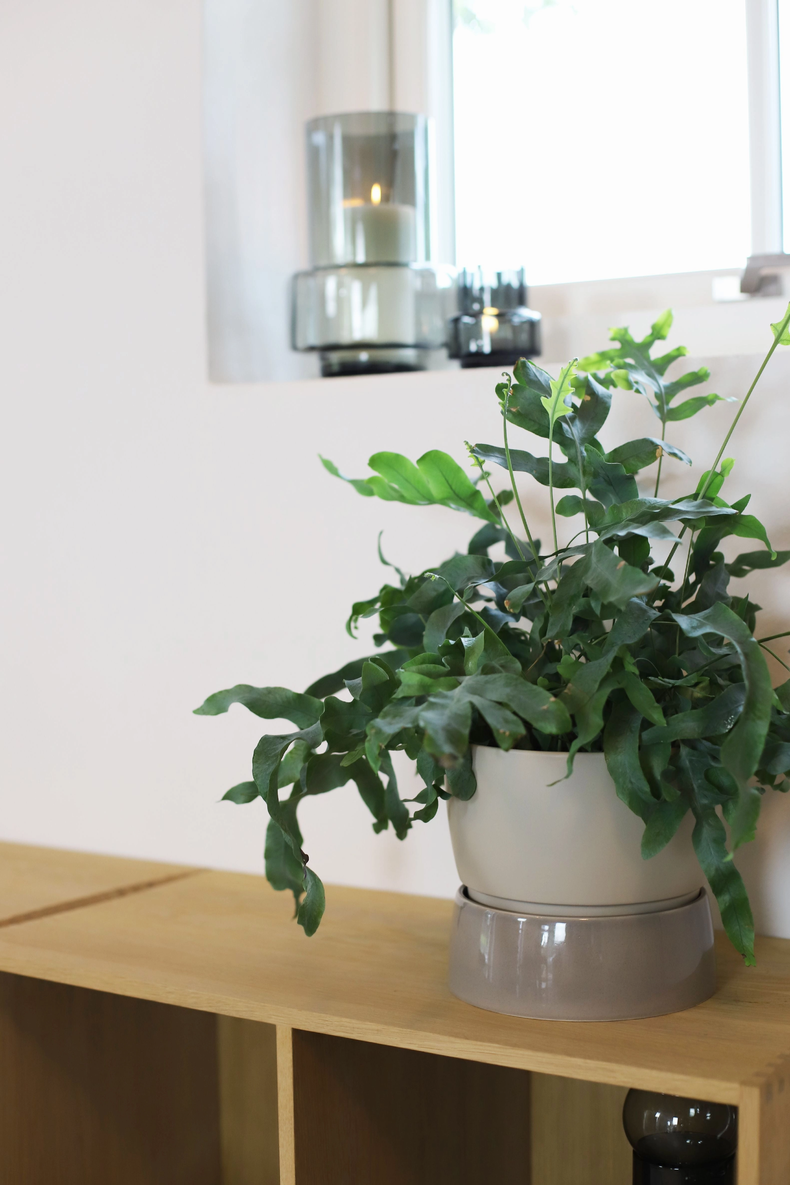 Ro Collection Two Tone Planter, Large, Dune Grey