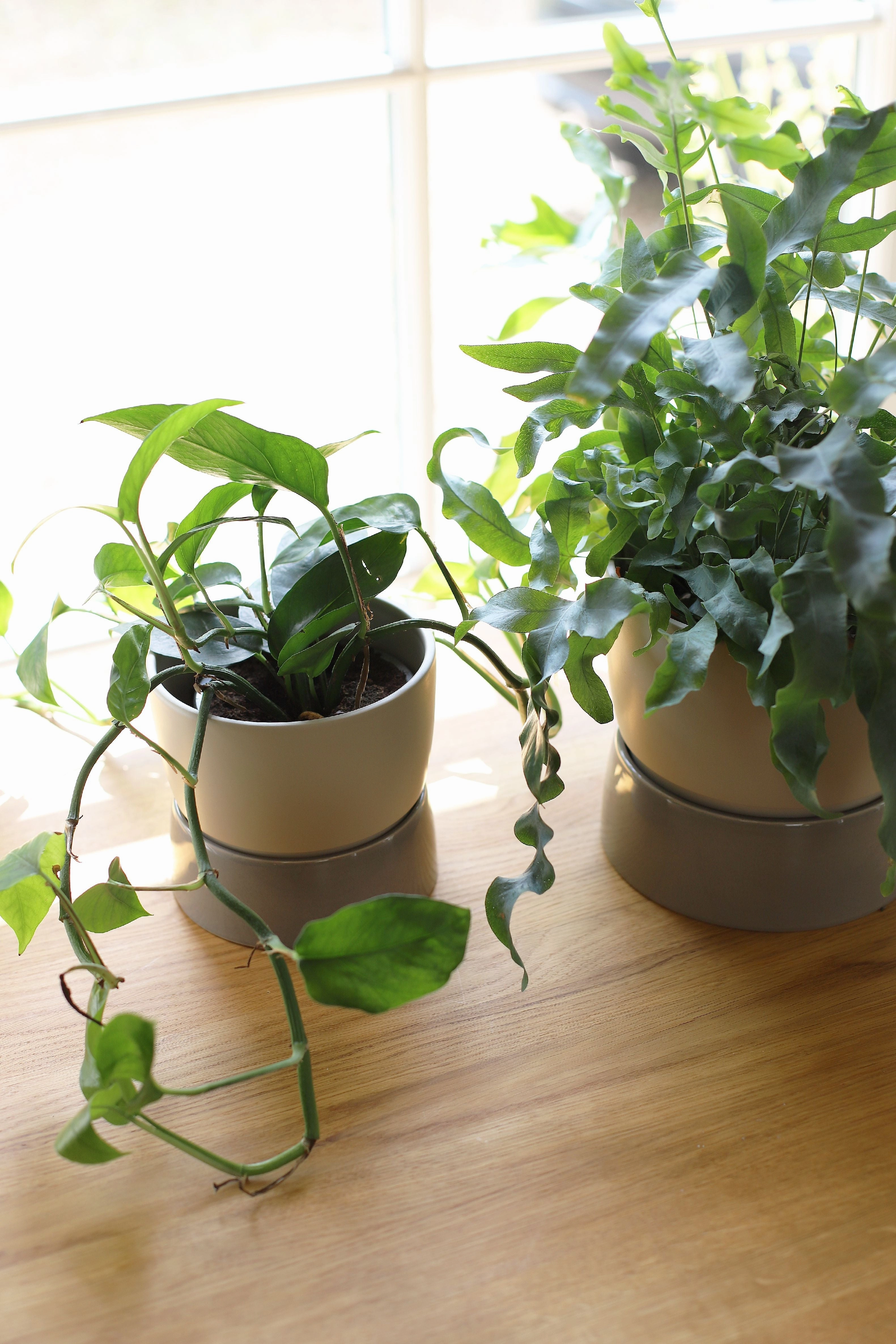 Ro Collection Two Tone Planter, Large, Dune Grey