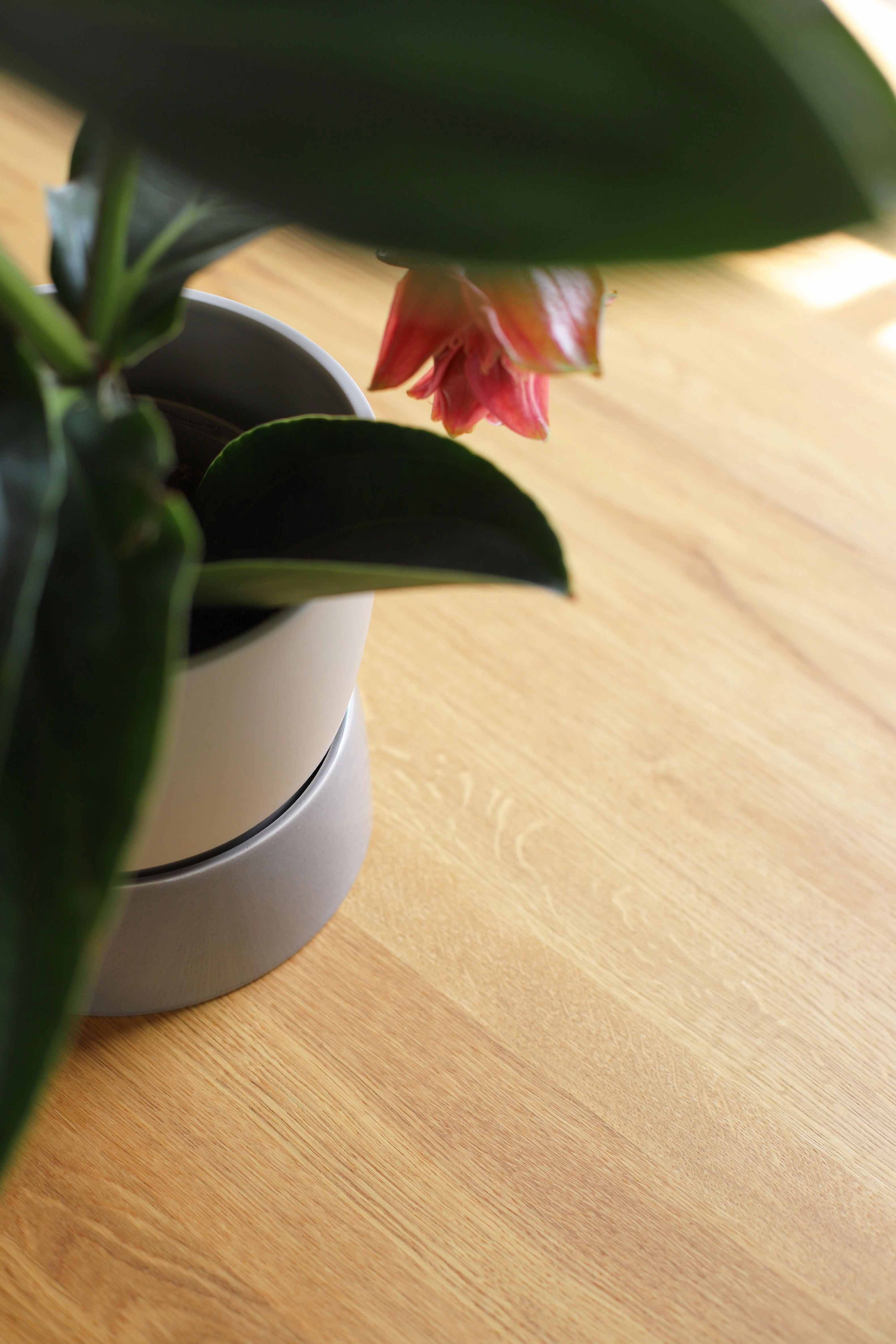 Ro Collection Two Tone Planter, Large, Dune Grey