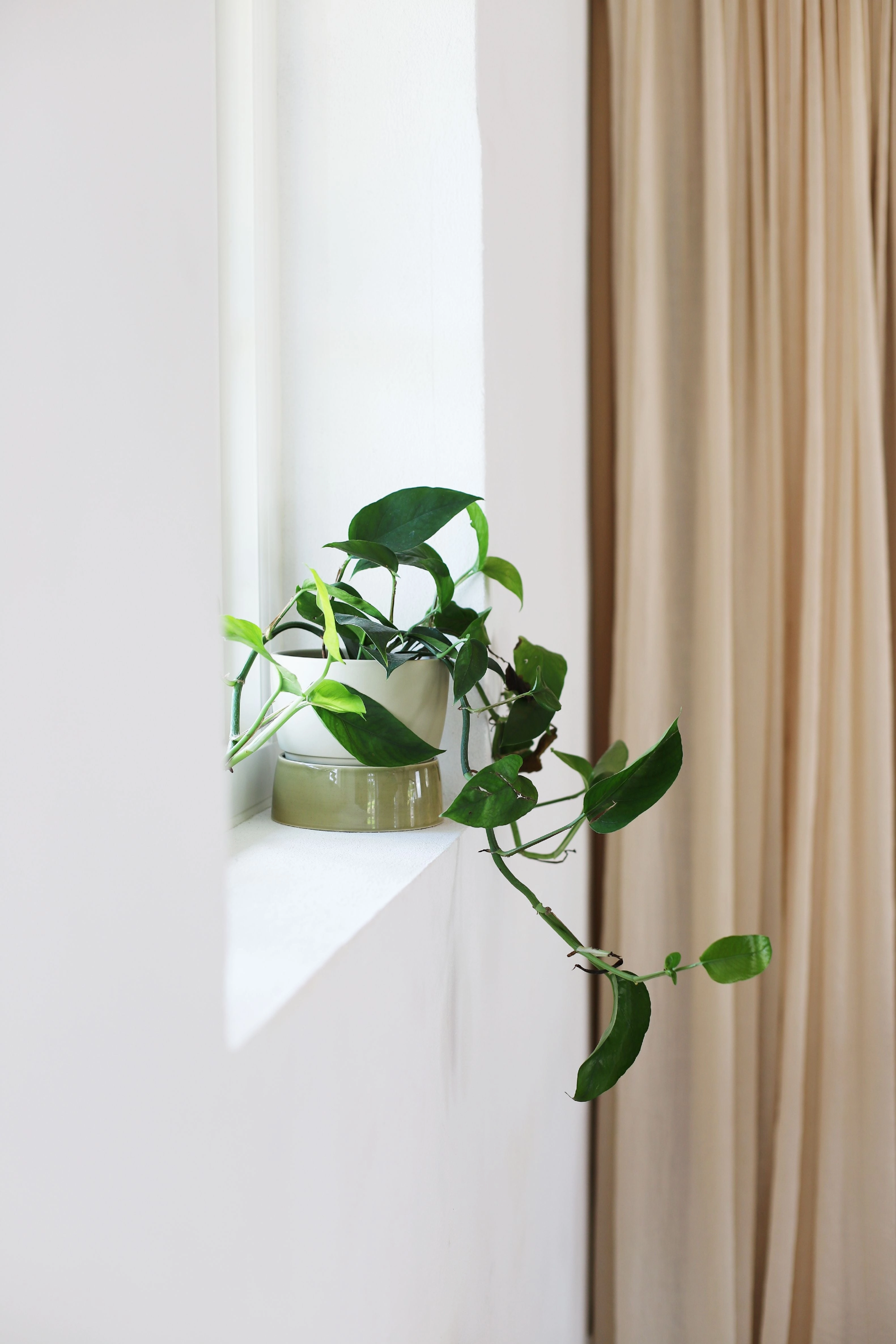 Ro Collection Two Tone Planter, Small, Artichoke Green