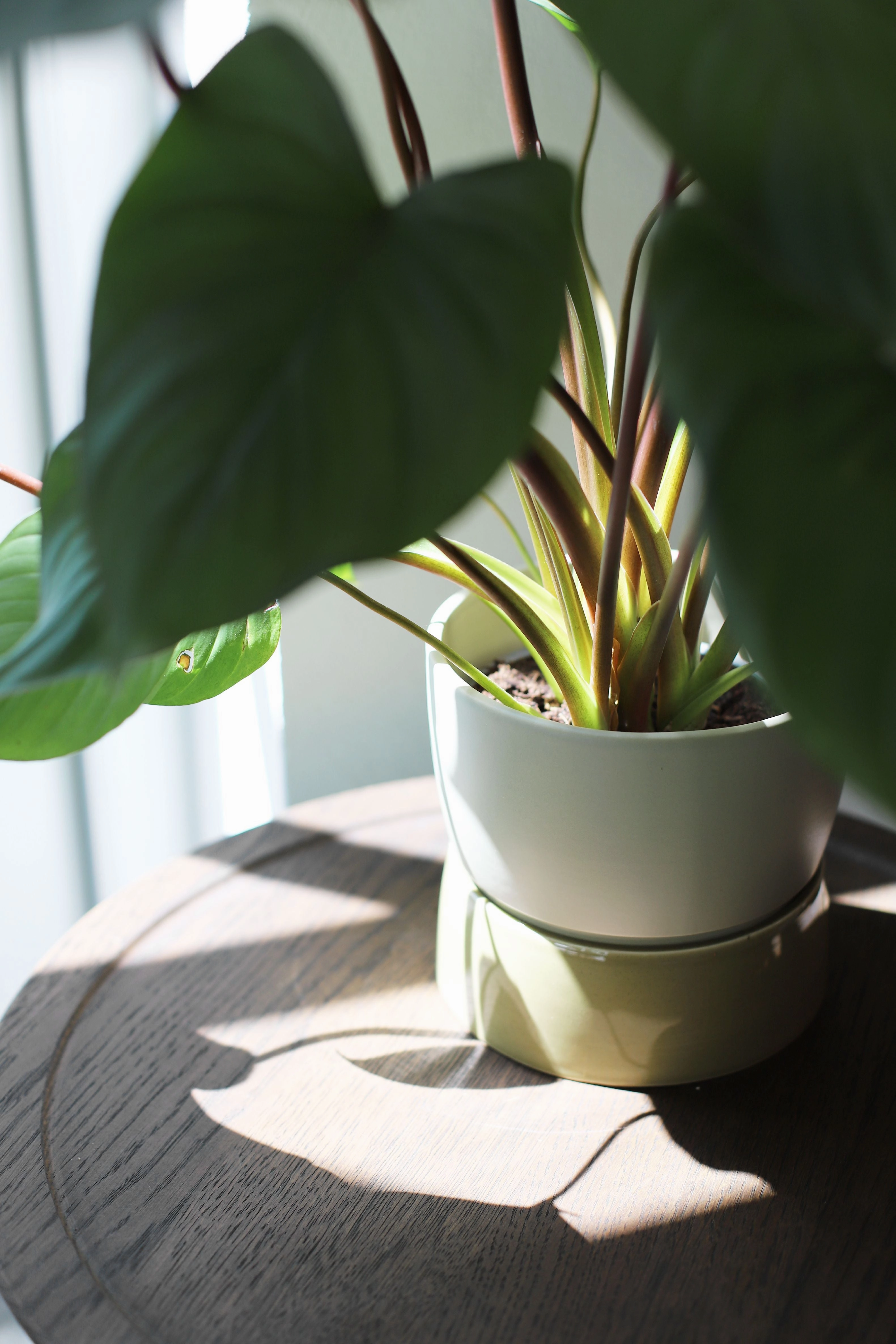 Ro Collection Two Tone Planter, Small, Artichoke Green