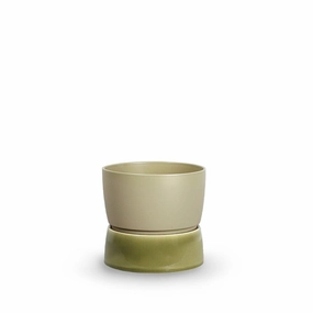 Ro Collection Two Tone Planter, Small, Artichoke Green dried green plant  