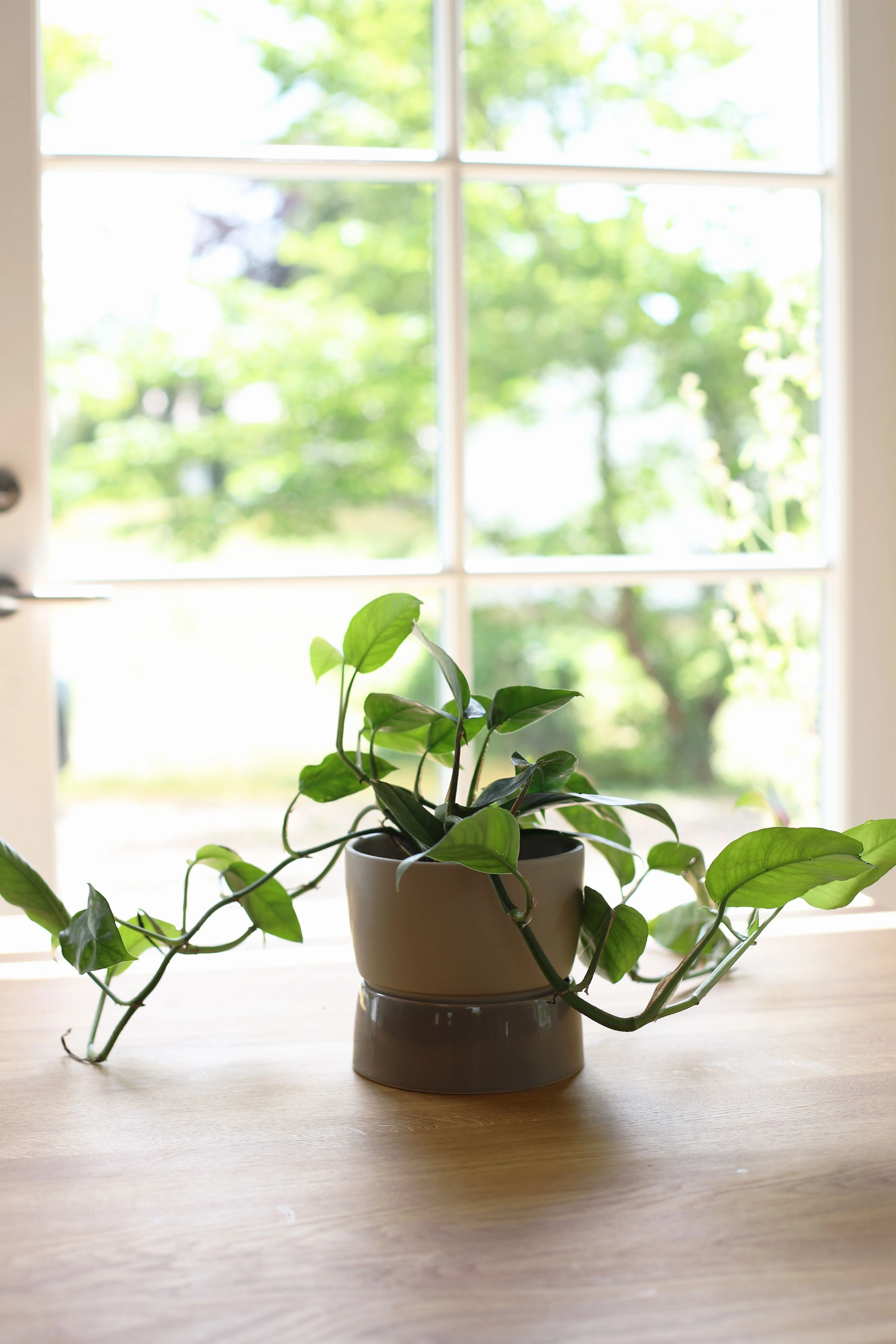 Ro Collection Two Tone Planter, Small, Dune Grey