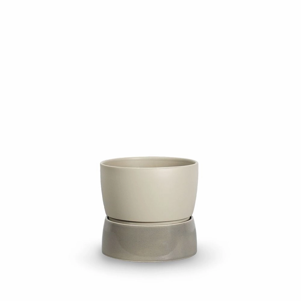 Ro Collection Two Tone Planter, Small, Dune Grey dried green plant  