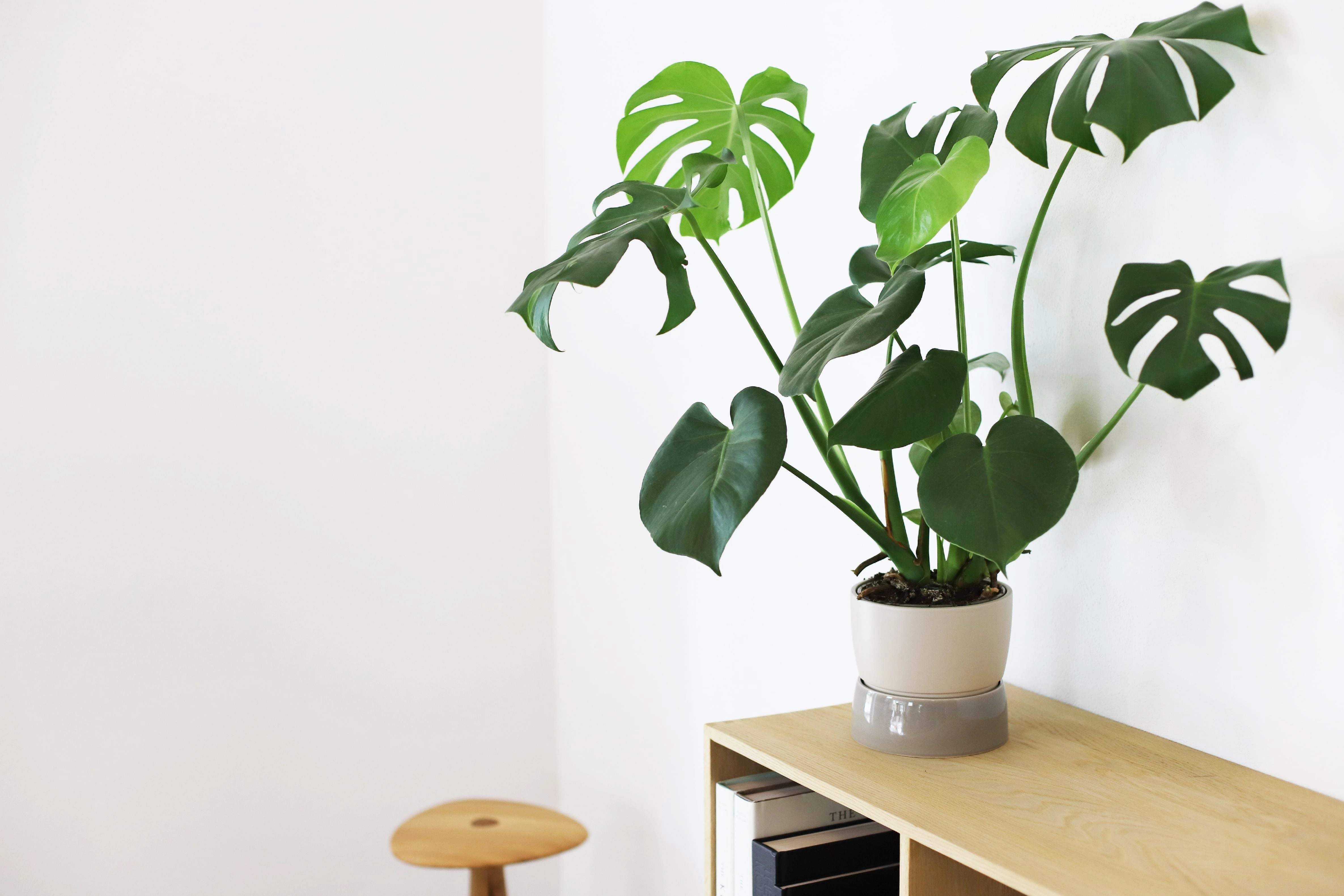 Ro Collection Two Tone Planter, Small, Dune Grey