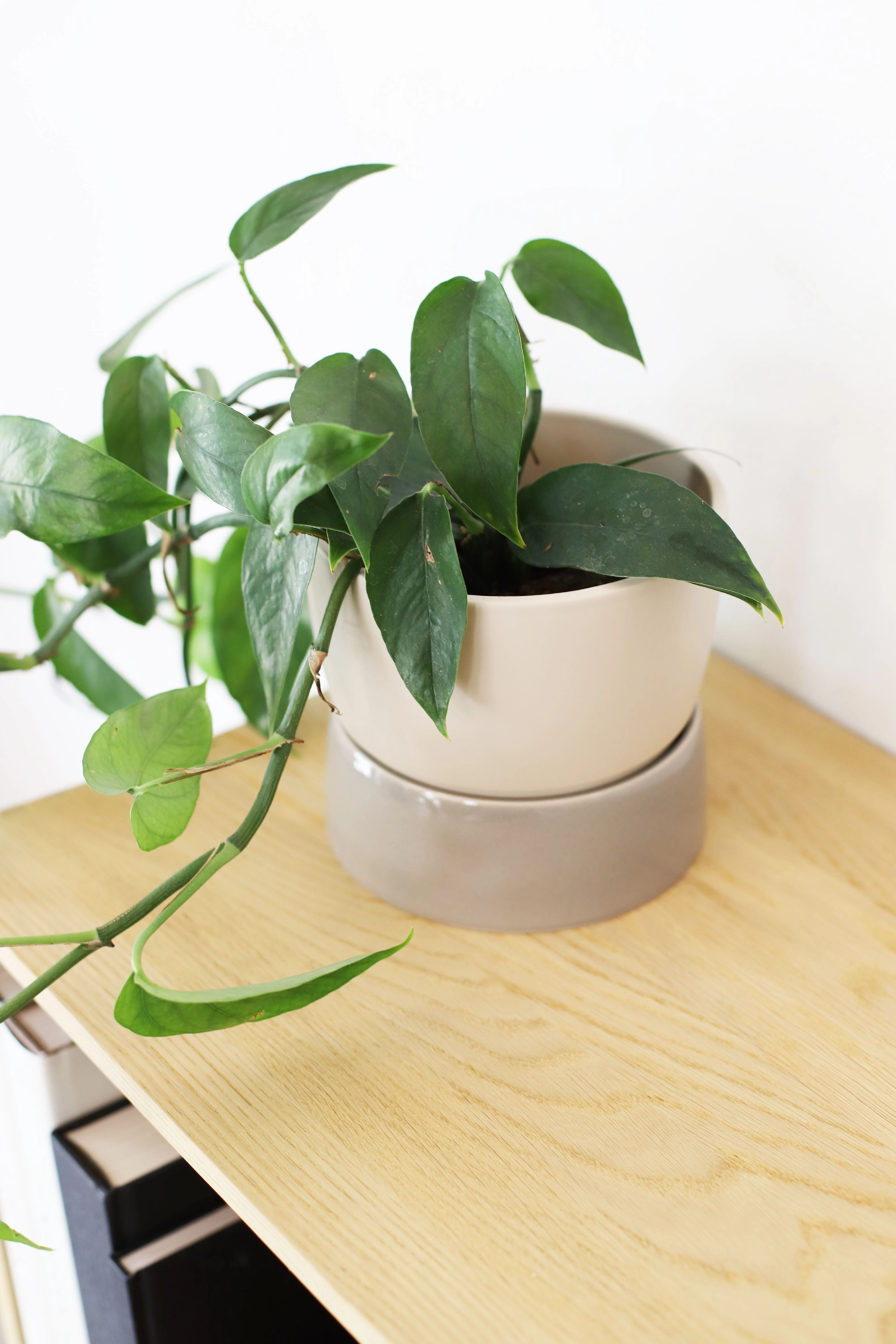 Ro Collection Two Tone Planter, Small, Dune Grey