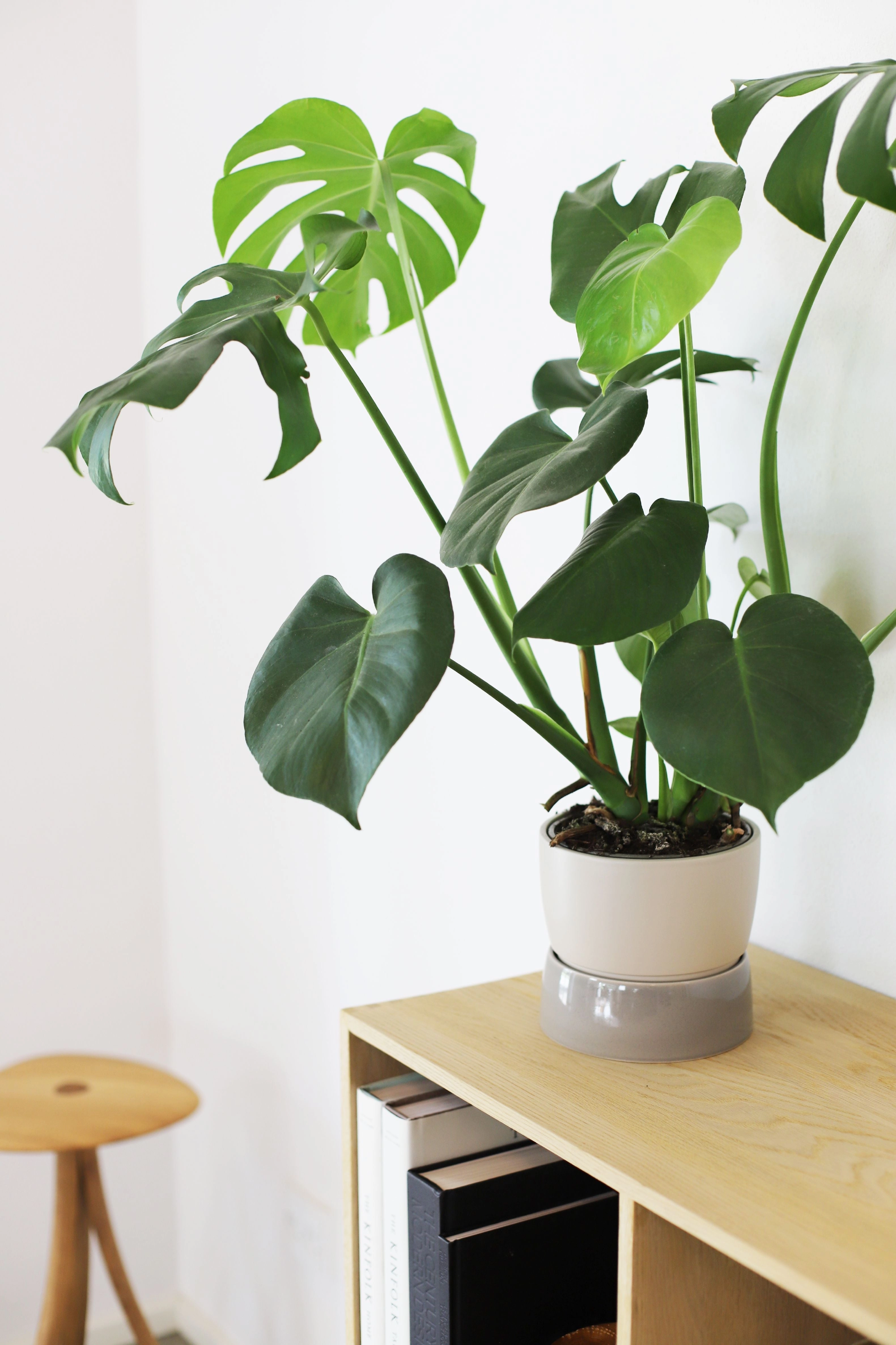 Ro Collection Two Tone Planter, Small, Dune Grey