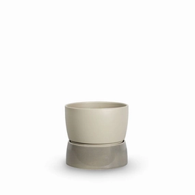 Ro Collection Two Tone Planter, Small, Dune Grey dried green plant  