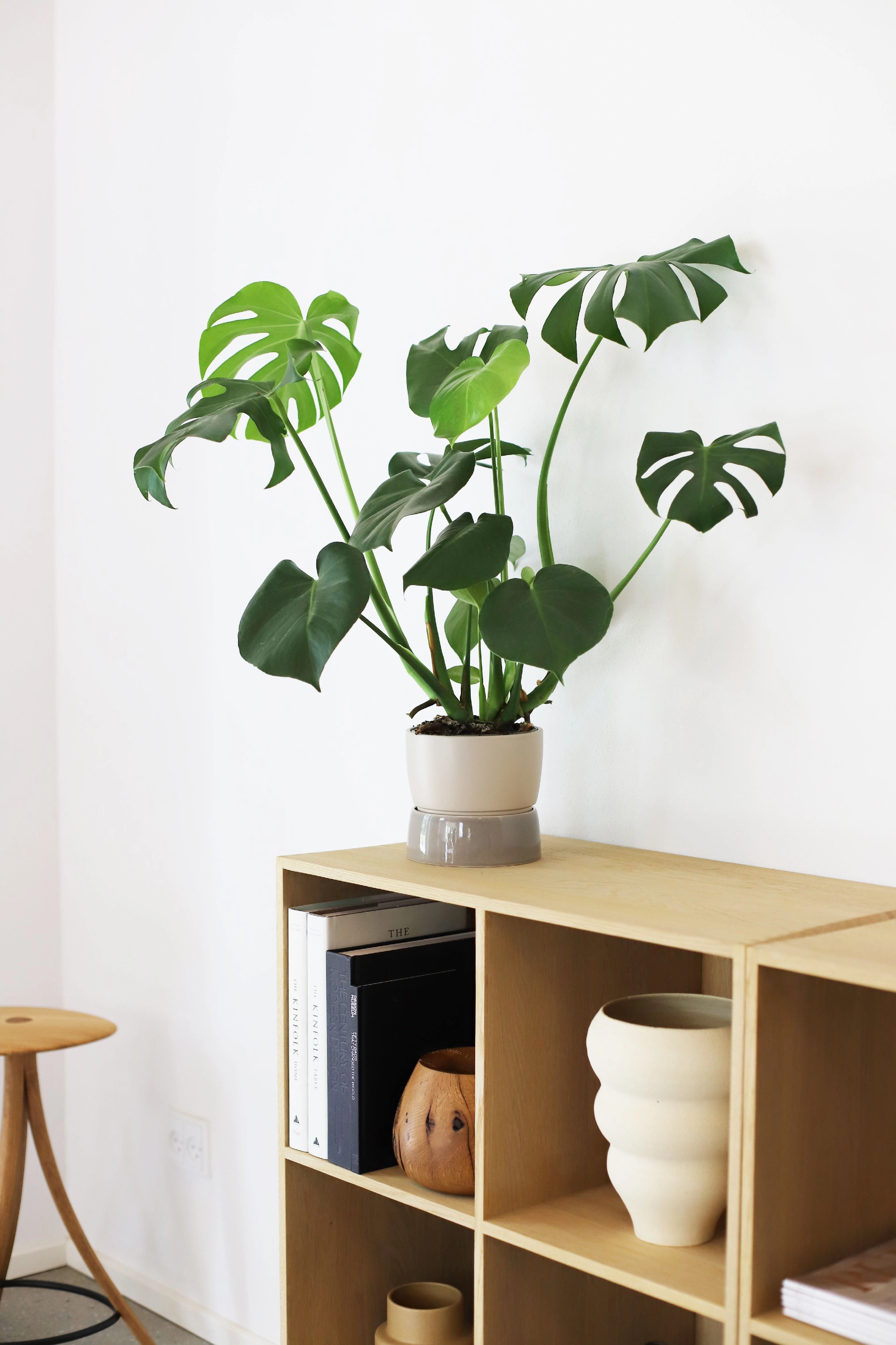 Ro Collection Two Tone Planter, Small, Dune Grey