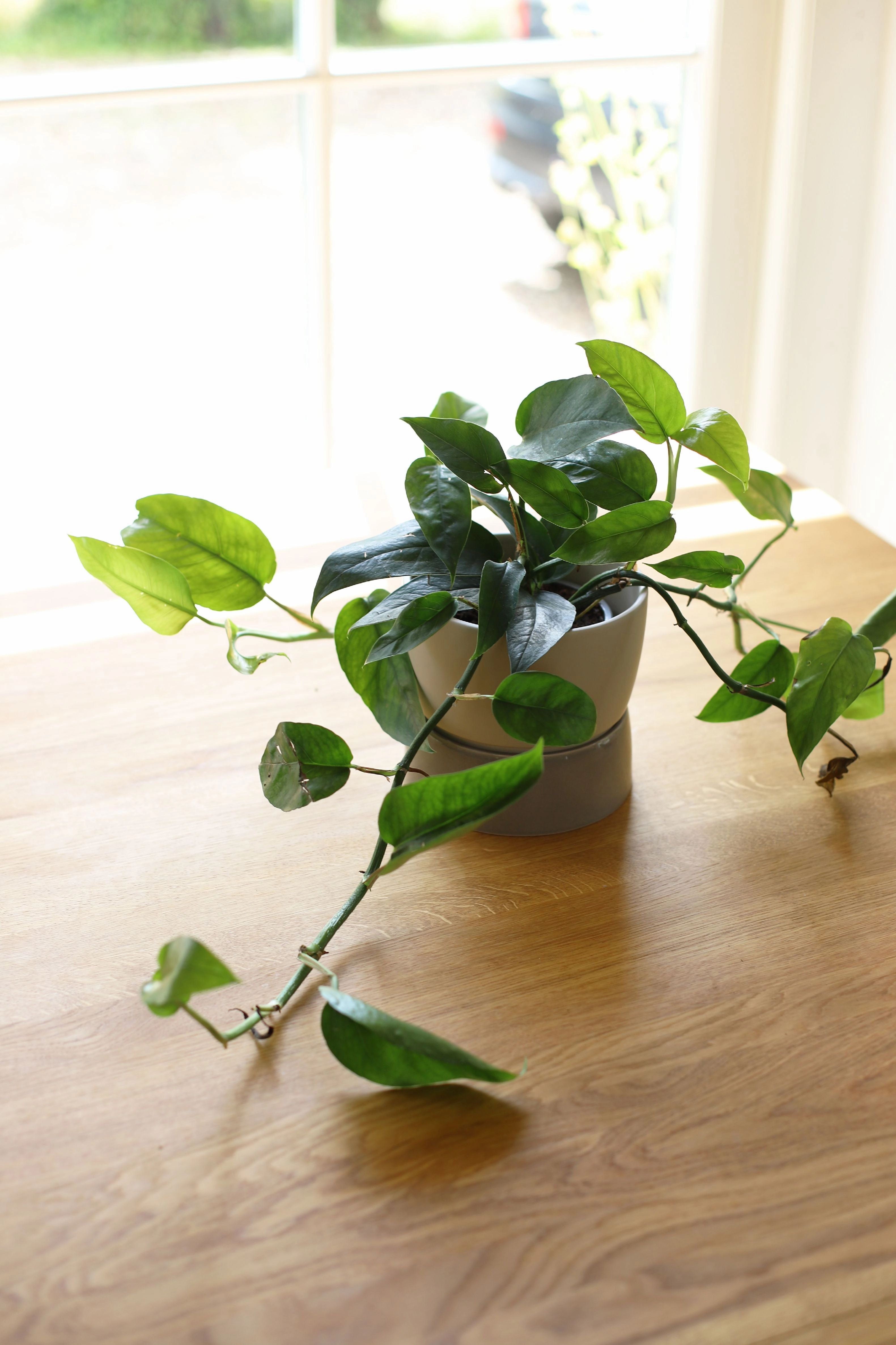 Ro Collection Two Tone Planter, Small, Dune Grey