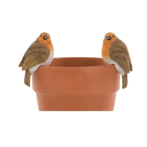Robin Pot Hanger dried flowers  