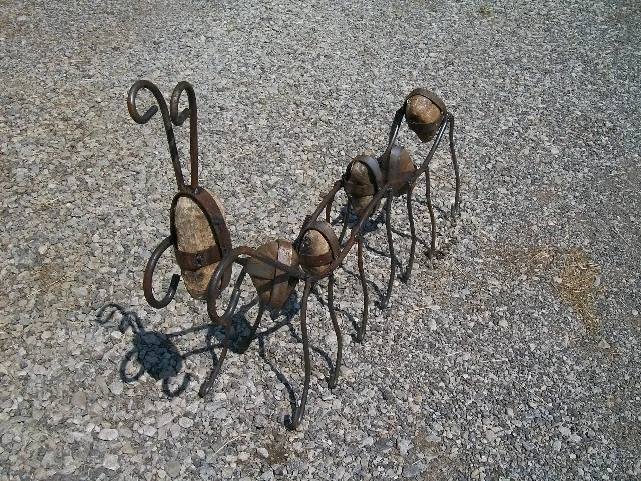 Rock Art Centipede dried flower branch  