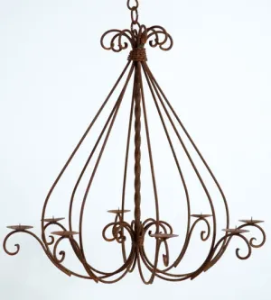 Rod Iron Chandlier With Twist dried flower branch  