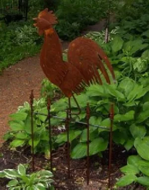 Rooster on Fence dried flower branch  