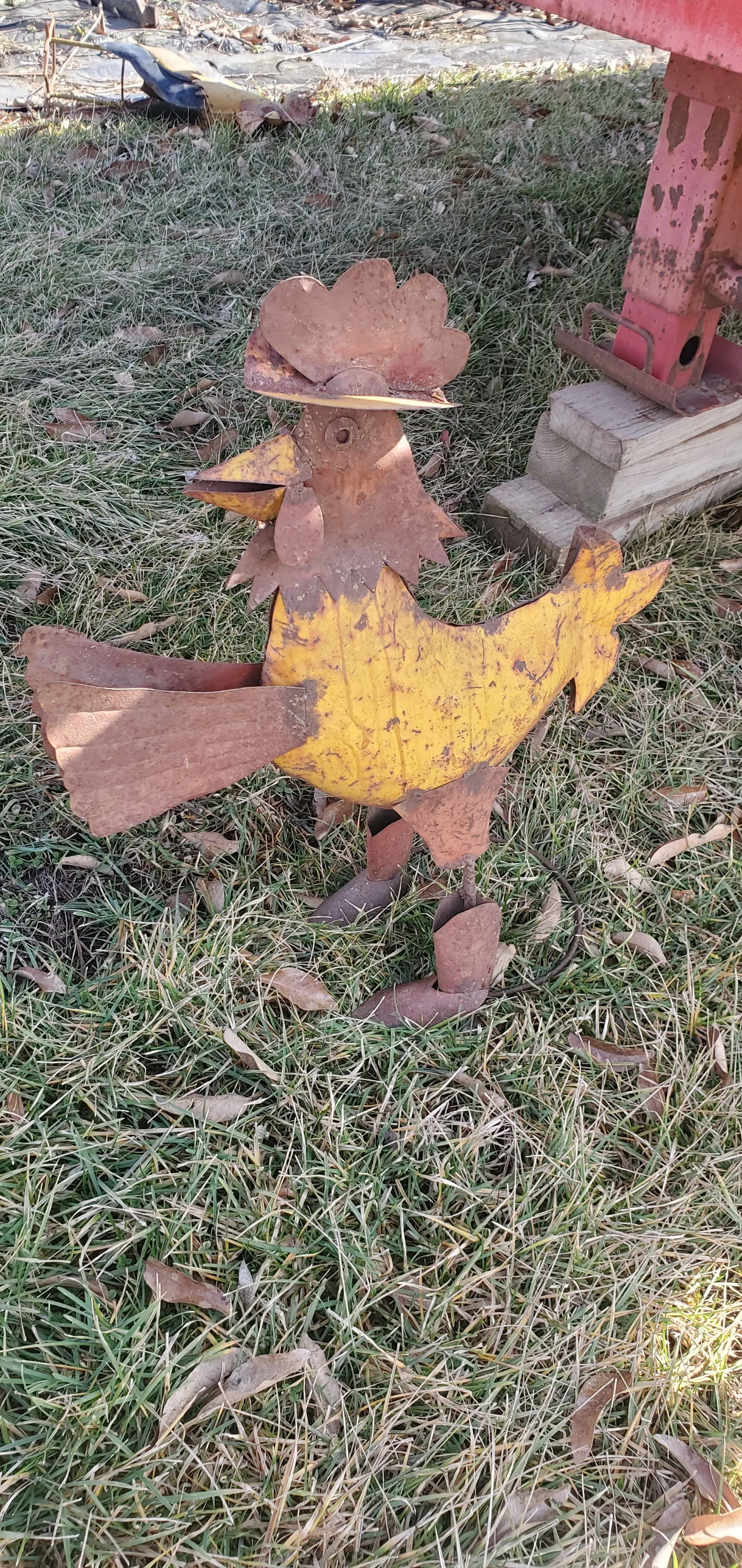ROOSTER WITH BOOTS
