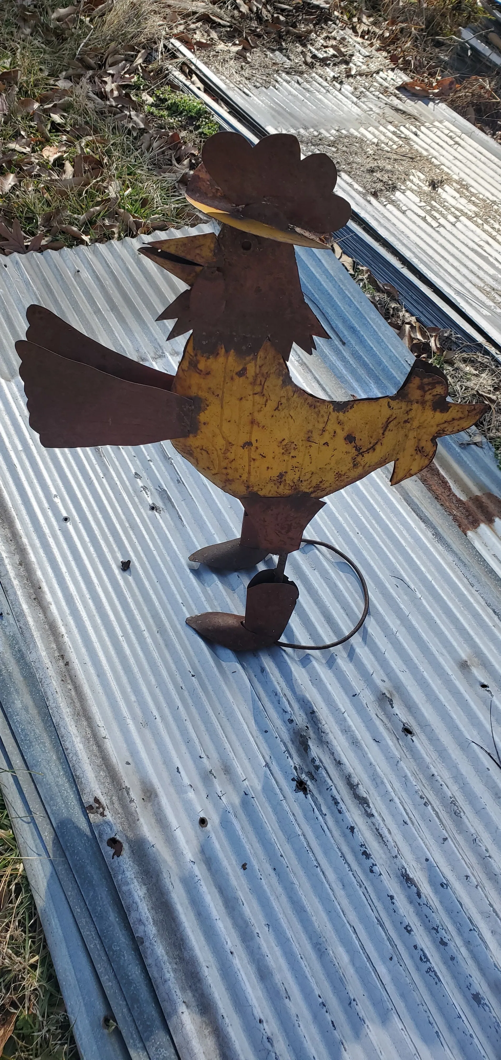 ROOSTER WITH BOOTS