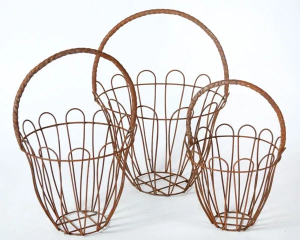 Rope Baskets Set of 3 dried flower branch  