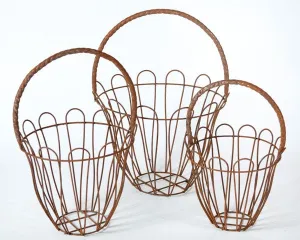 Rope Baskets Set of 3 dried flower branch  