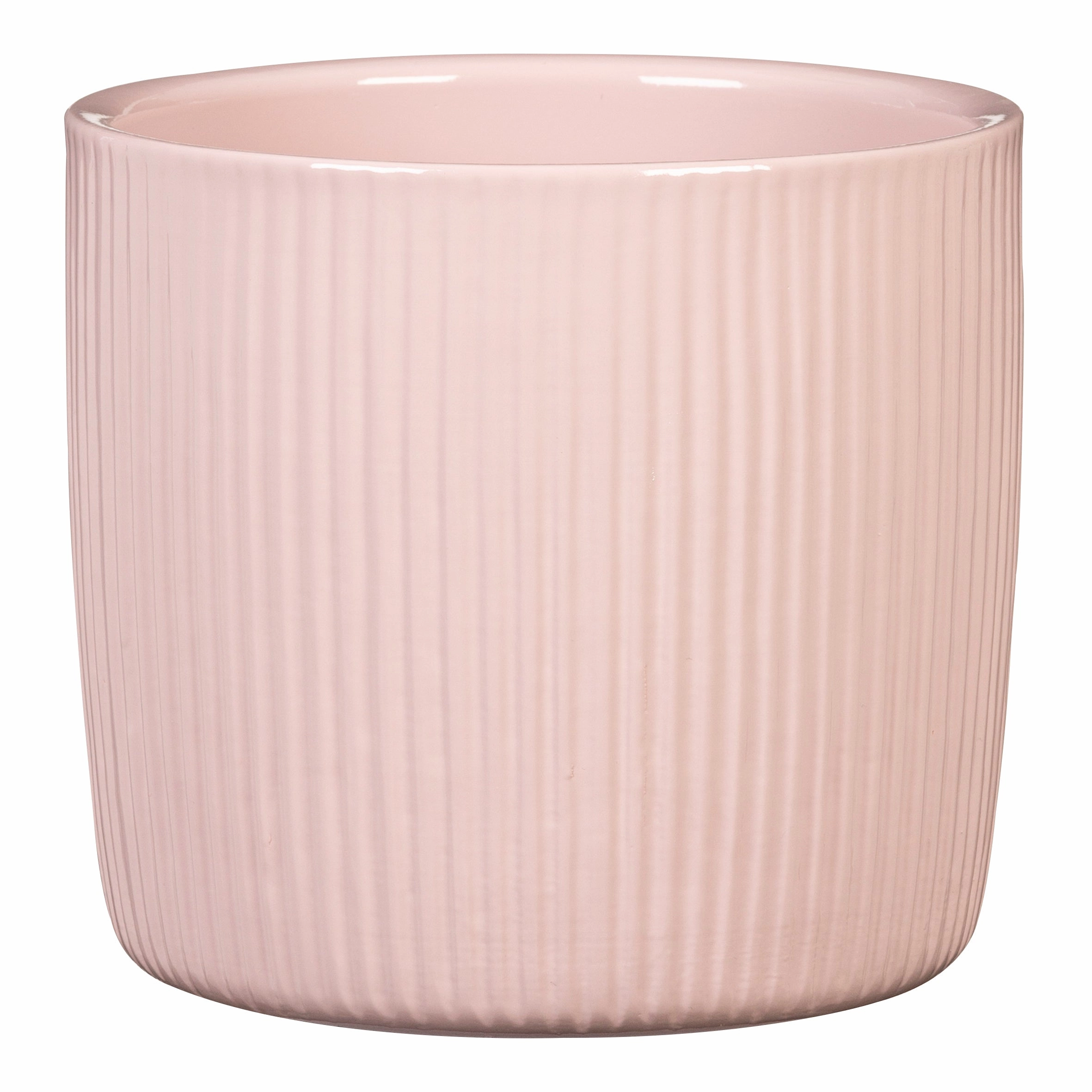 Rose Indoor Ceramic Cover Pot  Rose Elegance  (909) tall green plant  