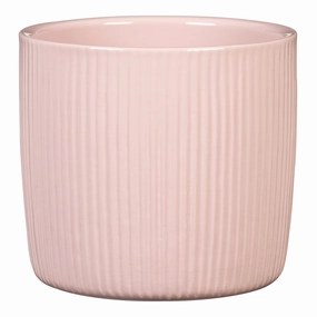 Rose Indoor Ceramic Cover Pot  Rose Elegance  (909) tall green plant  