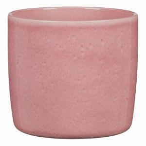 Rose Indoor Ceramic Cover Pot Rosea (900) tall green plant  