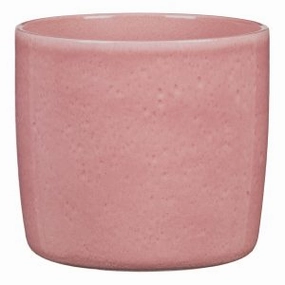 Rose Indoor Ceramic Cover Pot Rosea (900) tall green plant  
