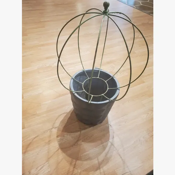 Round Topiary with Small Ball on Top