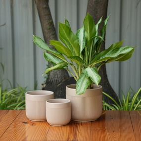 Round Ceramic Gamla Pot With Glossy Finsh classic flowerpot  