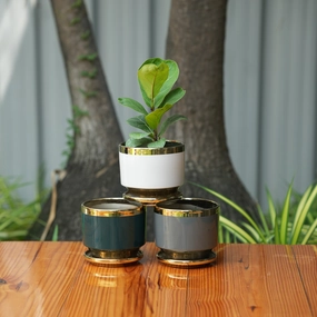 Round Shape Glossy Finish Ceramic Planter desktop planter  