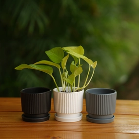 Round Shape Ribbed Ceramic Planter With Tray desktop planter  