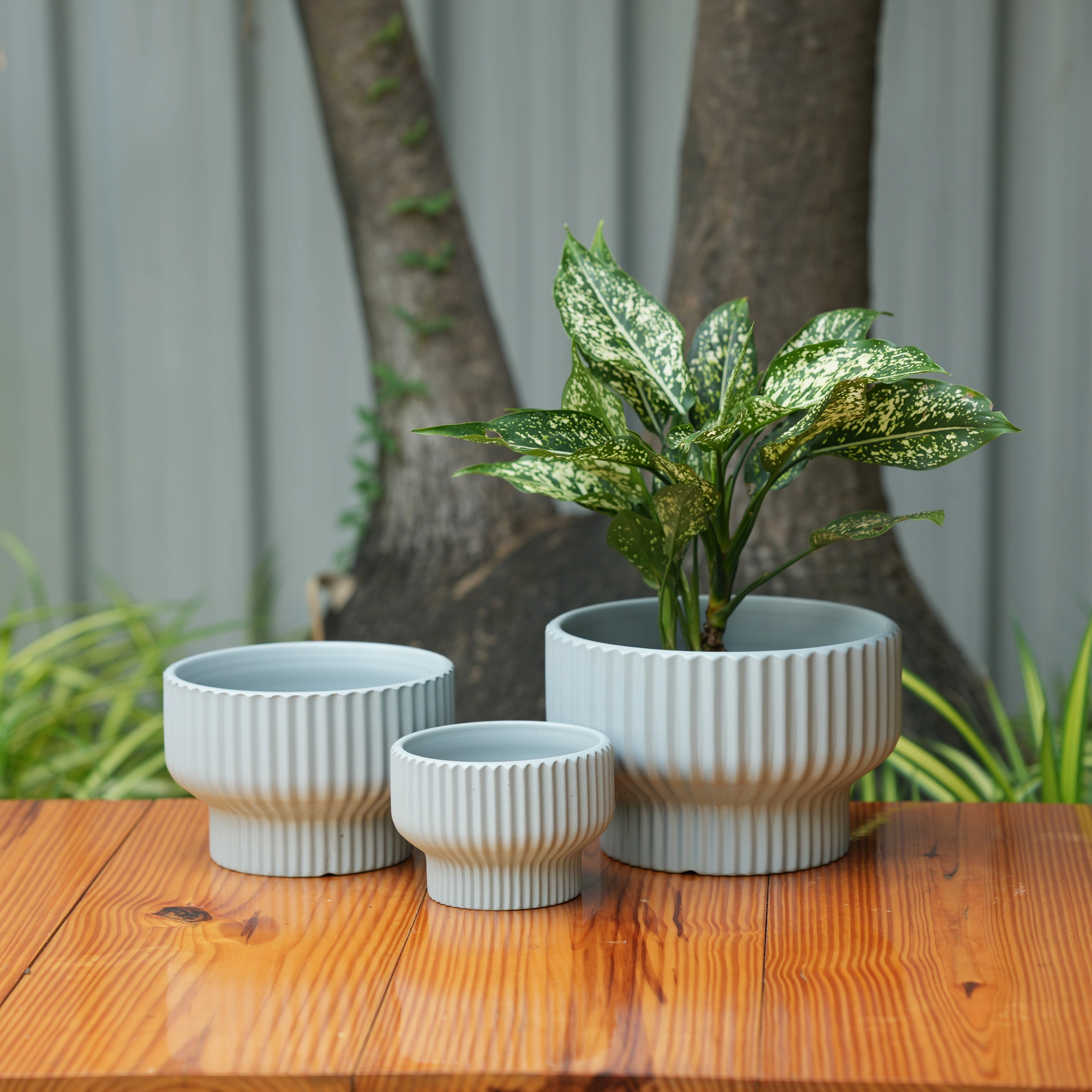 Round Shape Ribbed Grey Colour Ceramic Planter classic flowerpot  