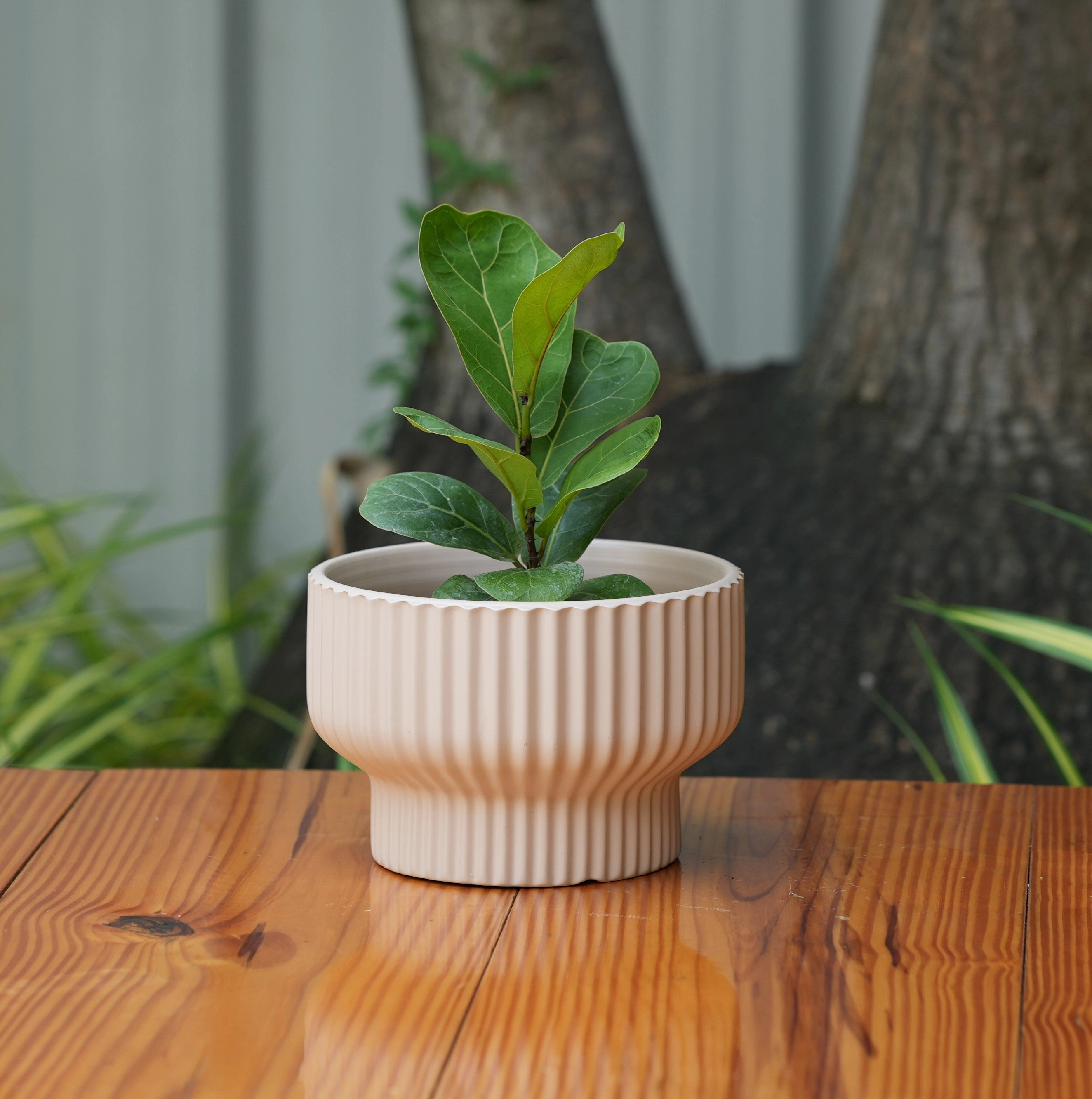Round Shape Ribbed peach Colour Ceramic Planter