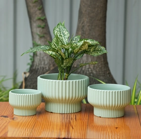 Round Shape Ribbed Pista Colour Ceramic Planter classic flowerpot  