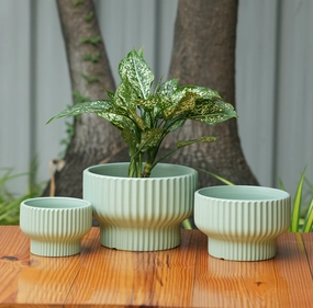 Round Shape Ribbed Pista Colour Ceramic Planter desktop planter  