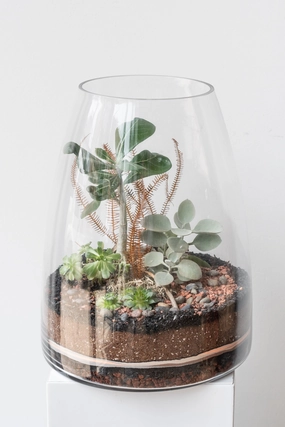 Round Tapered Planted Terrarium medium flower pot  