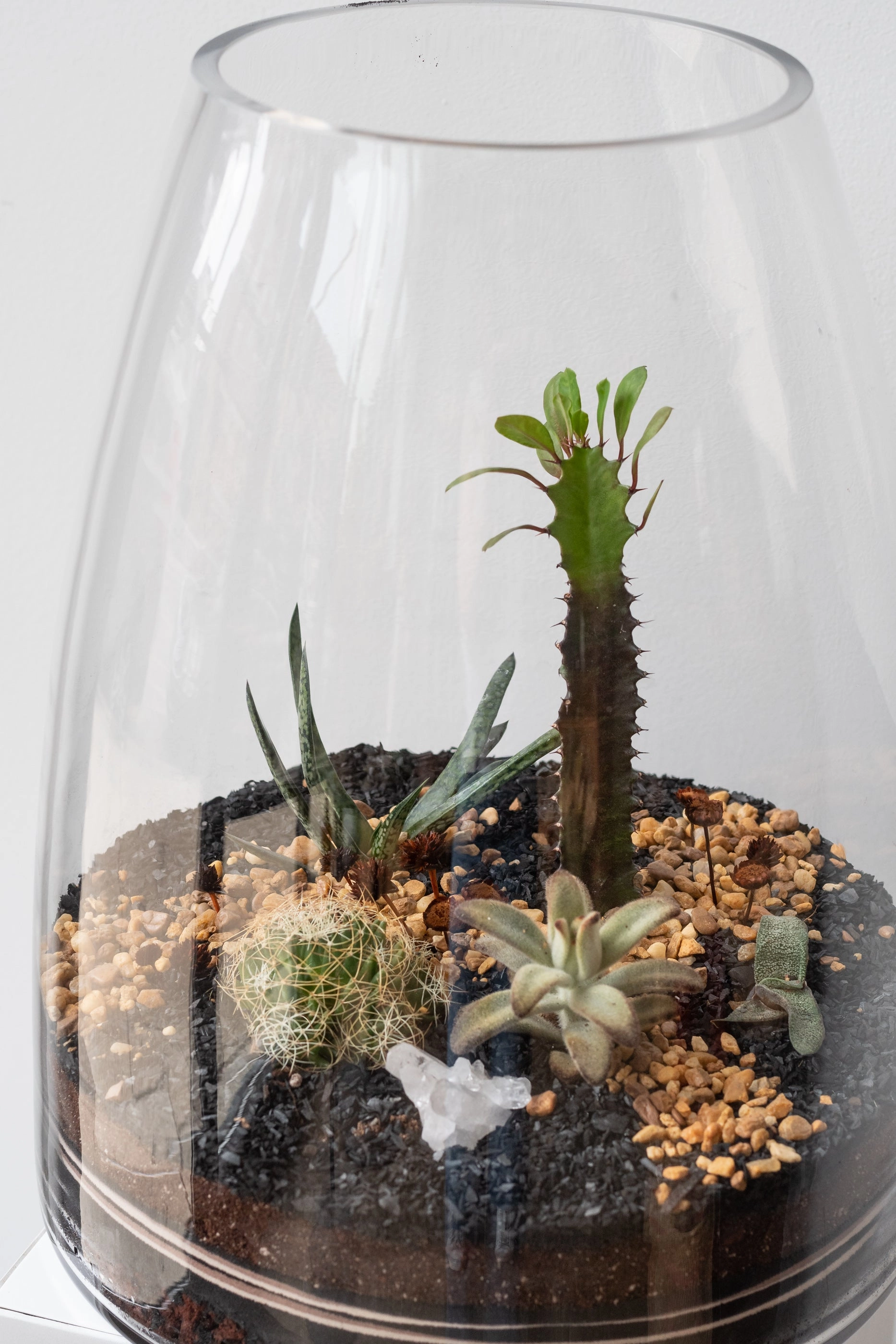 Round Tapered Planted Terrarium