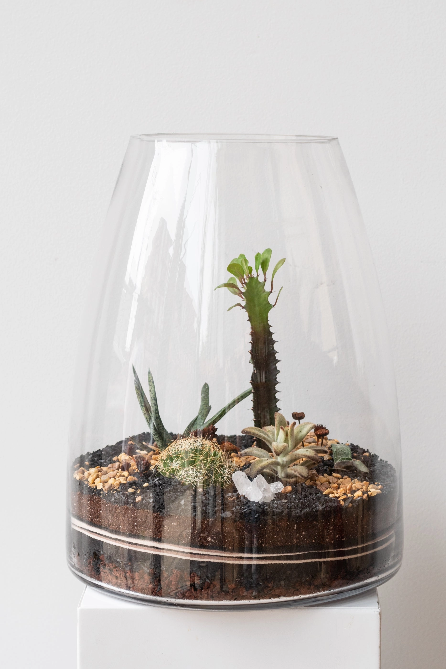 Round Tapered Planted Terrarium