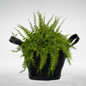Rubber Flower Pot (With Handle) classic flowerpot  