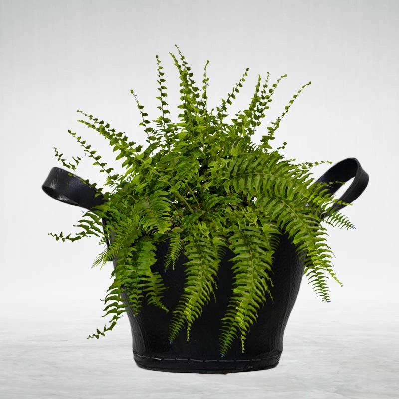 Rubber Flower Pot (With Handle) classic flowerpot  