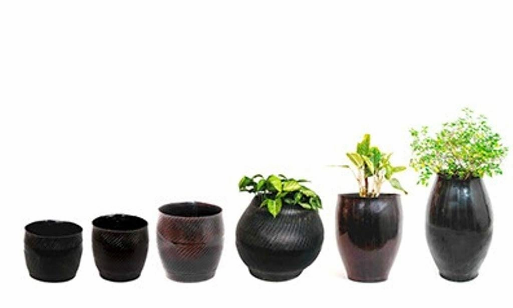 Rubber Planter (10 Inches)