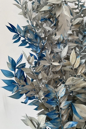Ruscus Gray w/ Blue Tinted Preserved Bunch indoor houseplants  